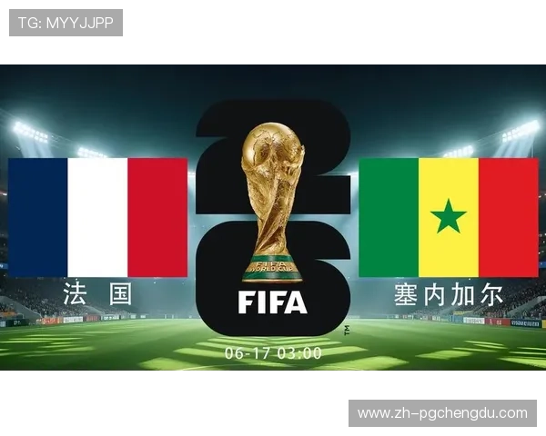 2026年世界杯法国VS塞内加尔比赛现场氛围与球迷支持情况全景报道